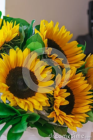 Festive bouquet of sunflowers on the window. Happy birthday to you. Stock Photo