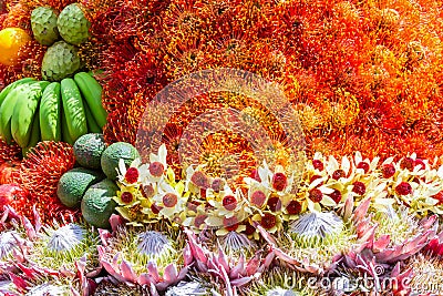 Festive fruits flowers decoration, Madeira Flower Festival, Portuga Stock Photo