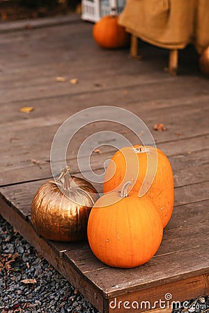 Festive Halloween composition. Still life of pumpkin painted gold paint, orange sprigs of barberry Stock Photo