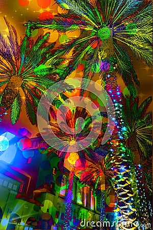 Festive lights abstract palm trees Stock Photo