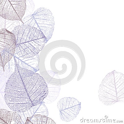 Festive winter background with frame of hoarfrost leaves Vector Illustration