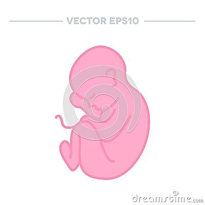 Fetus icon. vector illustration Vector Illustration