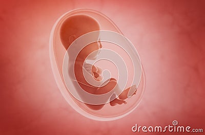 Fetus inside the womb Cartoon Illustration