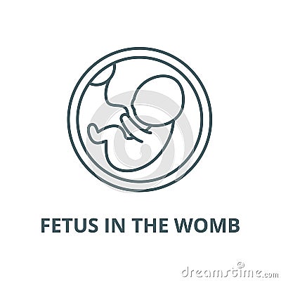 Fetus in the womb vector line icon, linear concept, outline sign, symbol Vector Illustration