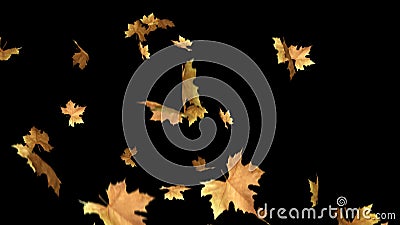 Feuilles d'automne tombant avec l'agrafe de boucle de canal alpha Peut utiliser cette agrafe pour le fond ou les recouvrements su illustration stock Feuilles d'automne tombant avec l'agrafe de boucle de canal alpha Peut utiliser cette agrafe pour le fond ou les recouvrements su illustration stock