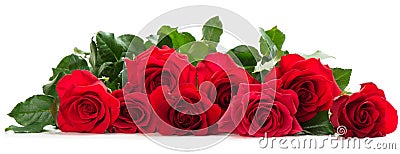 Few red roses Stock Photo