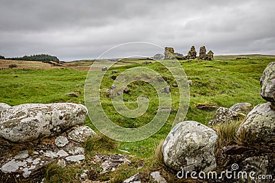 A few rounded stones with scrubby grass in the foreground and the ruins of Finlaggan castle on a deep green rolling grassy field Stock Photo