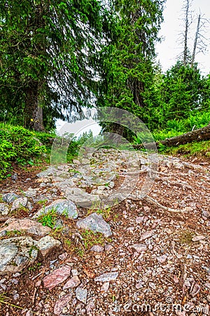 A few summer hiking impressions from the famous Hoch-Ybrig region in the Swiss Alps Stock Photo