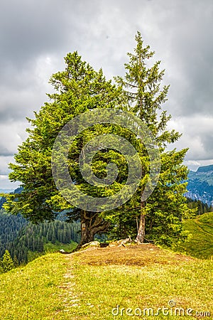 A few summer hiking impressions from the famous Hoch-Ybrig region in the Swiss Alps Stock Photo