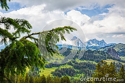 A few summer hiking impressions from the famous Hoch-Ybrig region in the Swiss Alps Stock Photo