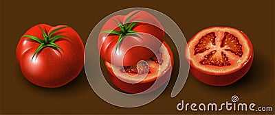 A few tomatoes. Whole tomato, sliced tomato and half a tomato. Highly realistic illustration Cartoon Illustration