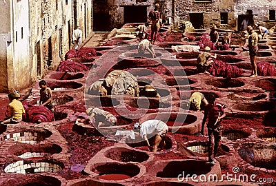 Fez dyeing Editorial Stock Photo