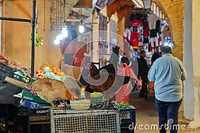 Fez, Morocco - December 07, 2018: chickens eating in the middle of a street in the medina of fez Editorial Stock Photo