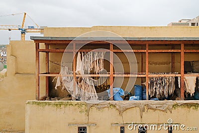 Fez, Morocco - male worker sorts out treated animal hides on a covered balcony at Chouara Tannery in Fes el Bali. 11th century Editorial Stock Photo
