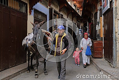 Fez, Morocco - man pulls a domestic mule through narrow street in Fes el Bali souk (market). Editorial Stock Photo