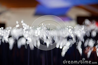 Fiber optic lights Stock Photo