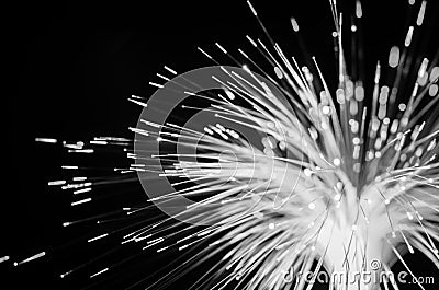 Fiber optics lights abstract Stock Photo