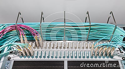 Fiber Patch Panel and Distributoren for Cloud Services Stock Photo