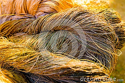Fiber products from the hemp plant Stock Photo