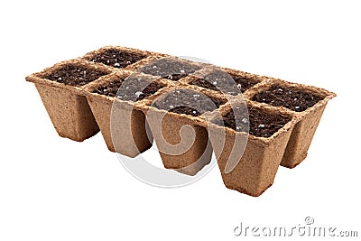 Fiber Seed Starting Cell isolated Stock Photo
