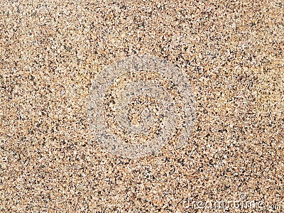 Fiberboard. Compressed light brown wooden plywood texture. Close up surface of pressed wood-shaving plate. Old wooden board Stock Photo
