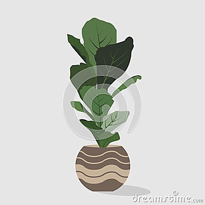 ficus flower illustration graphic element for poster Vector Illustration