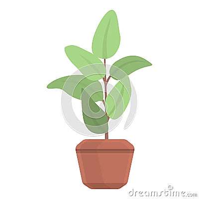 Ficus plant pot icon, cartoon style Vector Illustration