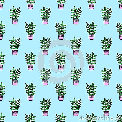 Ficus in a pot hand drawn seamless pattern on a blue background. houseplant gardening Stock Photo