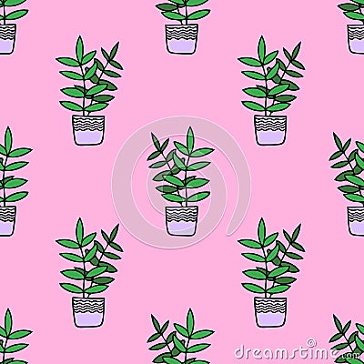 Ficus in a pot hand drawn seamless pattern on a pink background. houseplant gardening Stock Photo