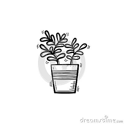 Ficus in a pot hand drawn sketch icon. Vector Illustration