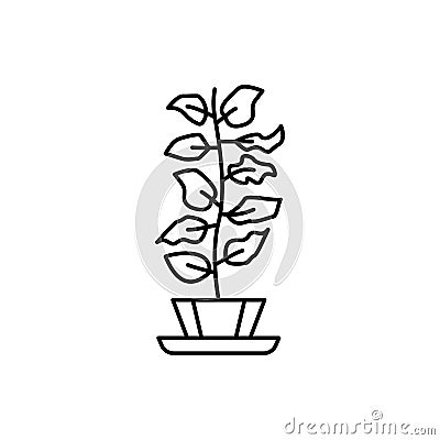 Fiddle leaf fig icon. Simple line, outline vector elements of house plant for ui and ux, website or mobile application Stock Photo