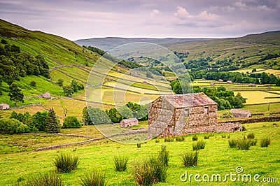 Field Barns in Upper Swaledale Stock Photo