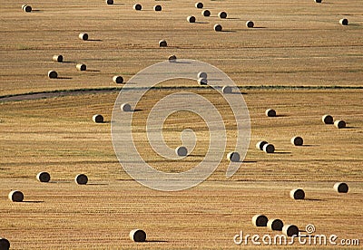 Field with big bales of straw in a random pattern Stock Photo