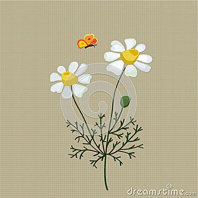 Field camomile embroidered with satin stitch on a beige background. Vector illustration Stock Photo