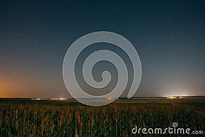 Field with corn and rural field under the night starry sky Stock Photo