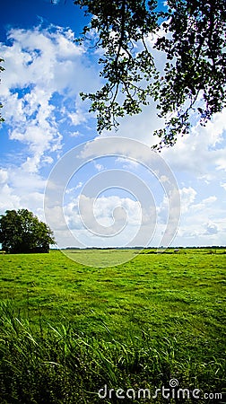 Field in countryside Stock Photo