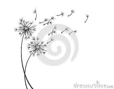 The field dandelion sketch with flying seeds. Vector Illustration