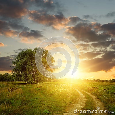 Field and dirt road to sunset Stock Photo