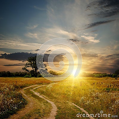 Field and dirt road to sunset Stock Photo