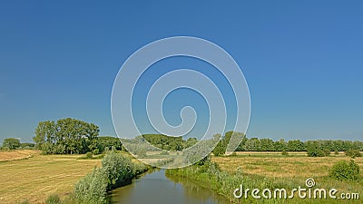 Field with ditch with reed and trees in Kalkense Meersen nature reerve, Flanders, Belgium Stock Photo