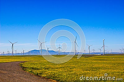 Field Of Energy Producing Wind Mills Stock Photo