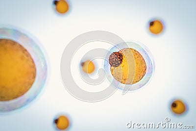 Field of fat cells, High quality 3d render of fat cells, cholesterol in a cells Stock Photo