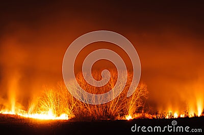 Field on Fire orange glow Stock Photo