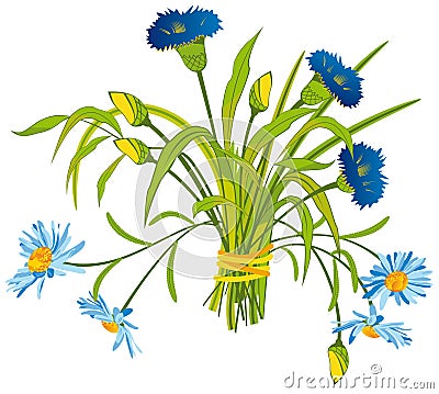 Field Flowers Vector Illustration