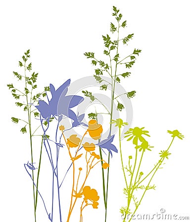 Field flowers, herbs and plants, vector, traced Vector Illustration