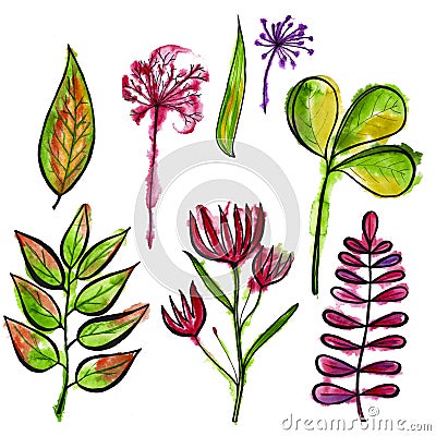 Field flowers and leaves. . Watercolor Stock Photo