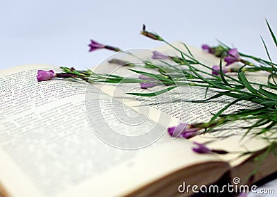 A field flowers on an open book. Still life with an open book of Honore de Balzac. Editorial Stock Photo