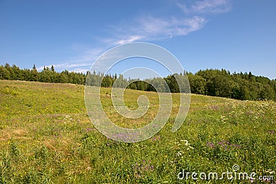 A field in the forest near the Holy Trinity Anzersky Skete Stock Photo