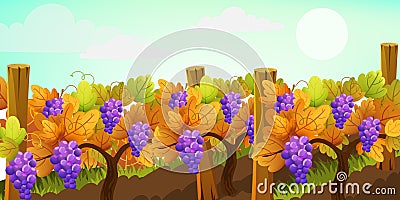 Field full of grape trees. Vineyard. Autumn plant. Warm colors Vector Illustration