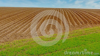 Freshly plowed field with furrows in the field. Brown, healthy soil. Crumbly, slightly loamy, fertile soil. Stock Photo